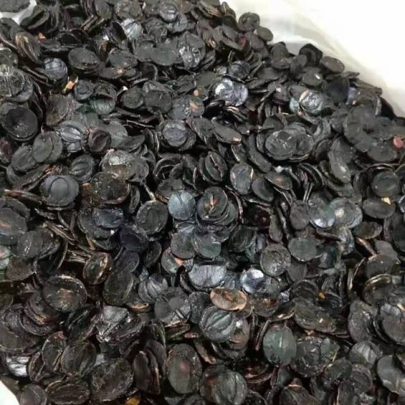中药材便秘果纯果肉大解果正品云南腊肠树果纯植新货