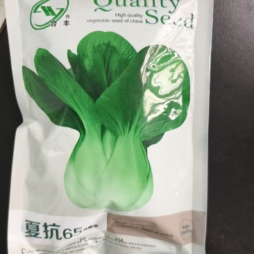 夏抗65-青梗菜种子耐热早熟丰产口味鲜美