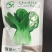 夏抗65-青梗菜种子耐热早熟丰产口味鲜美