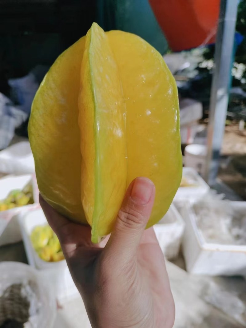 杨桃礼盒装