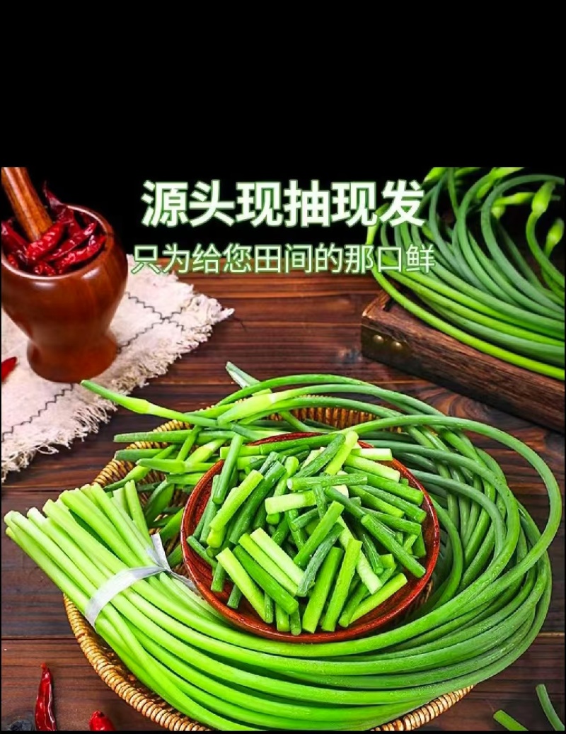 蒜苔白帽蒜苔产地供应一手货源保质保量可视频看货