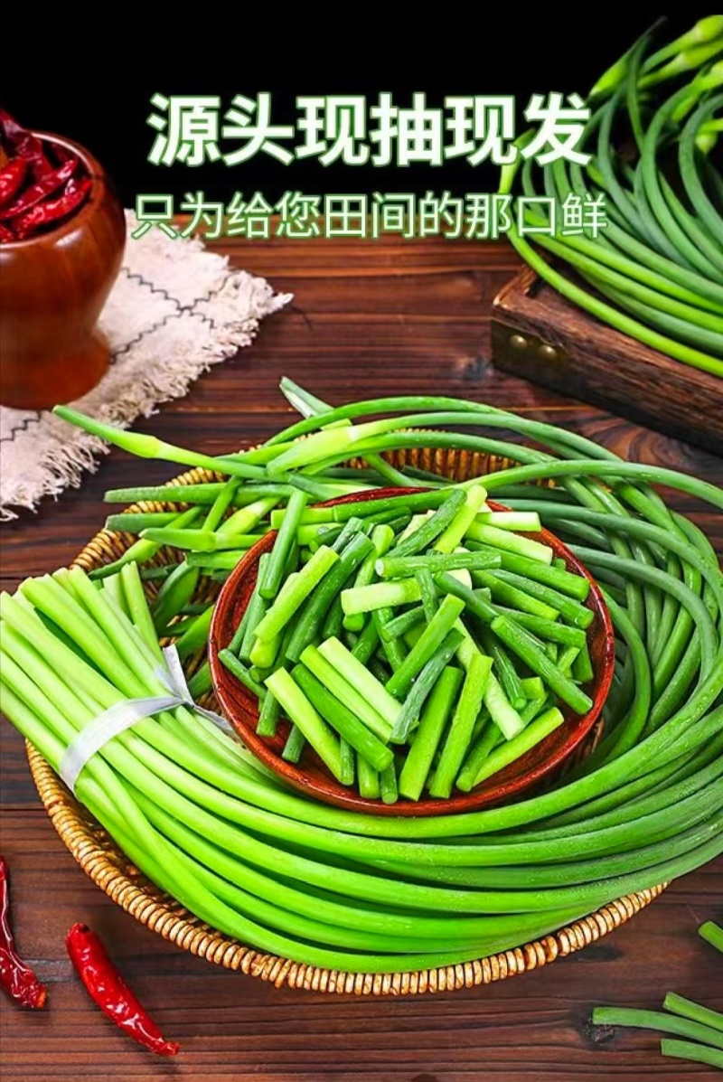 蒜苔白帽蒜苔产地供应一手货源保质保量可视频看货