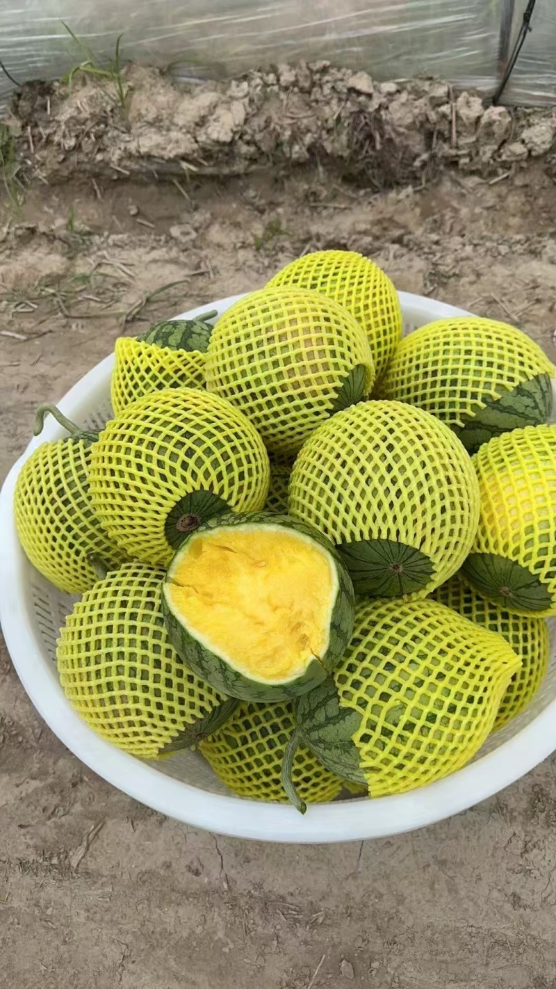 【特小凤西瓜】西瓜江苏精品特小兰西瓜产地直发可视频