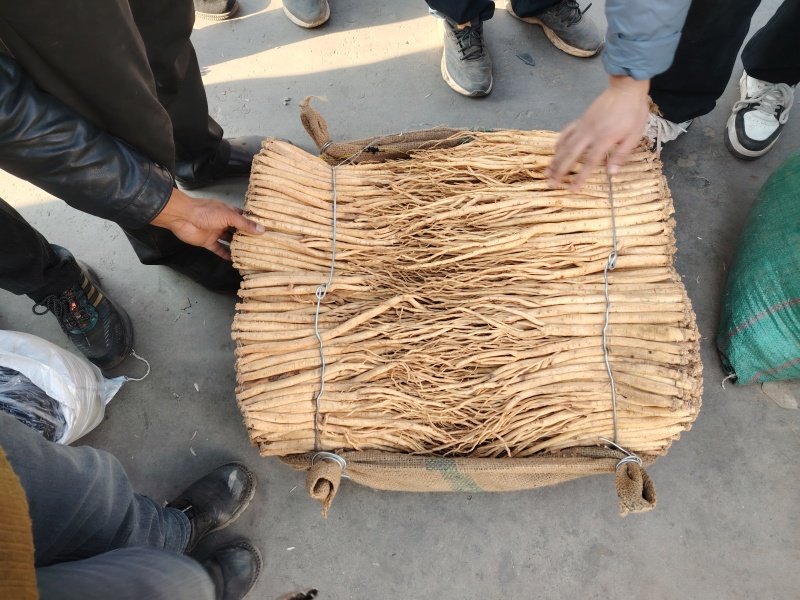 特大党参，精品特大党参基地现货直发欢迎进店咨询下单