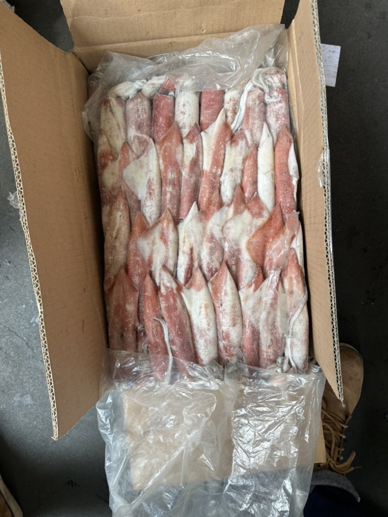 钓55号鱿鱼