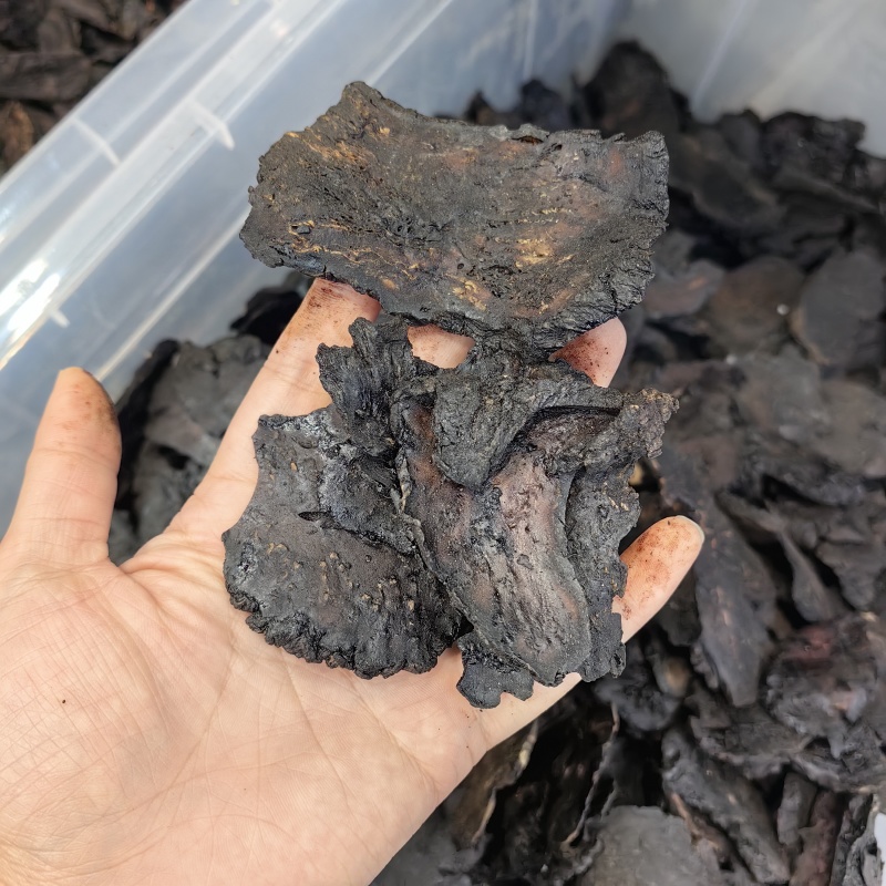 肉苁蓉肉苁蓉熟片手选统货各种规格批发零售