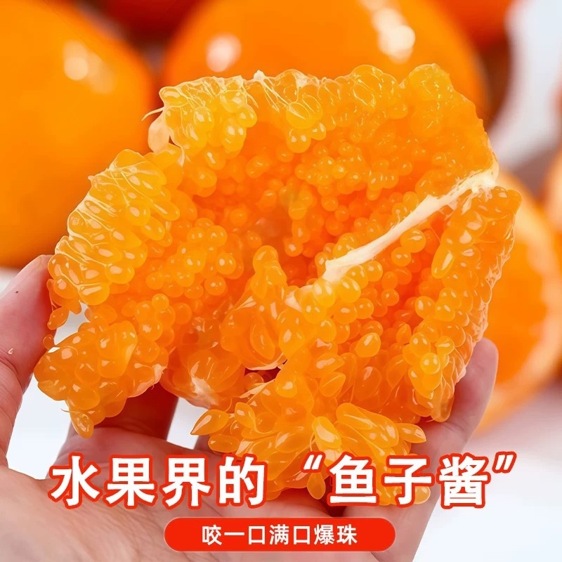 春见粑粑柑大量现货商超社区团购电商一件代发