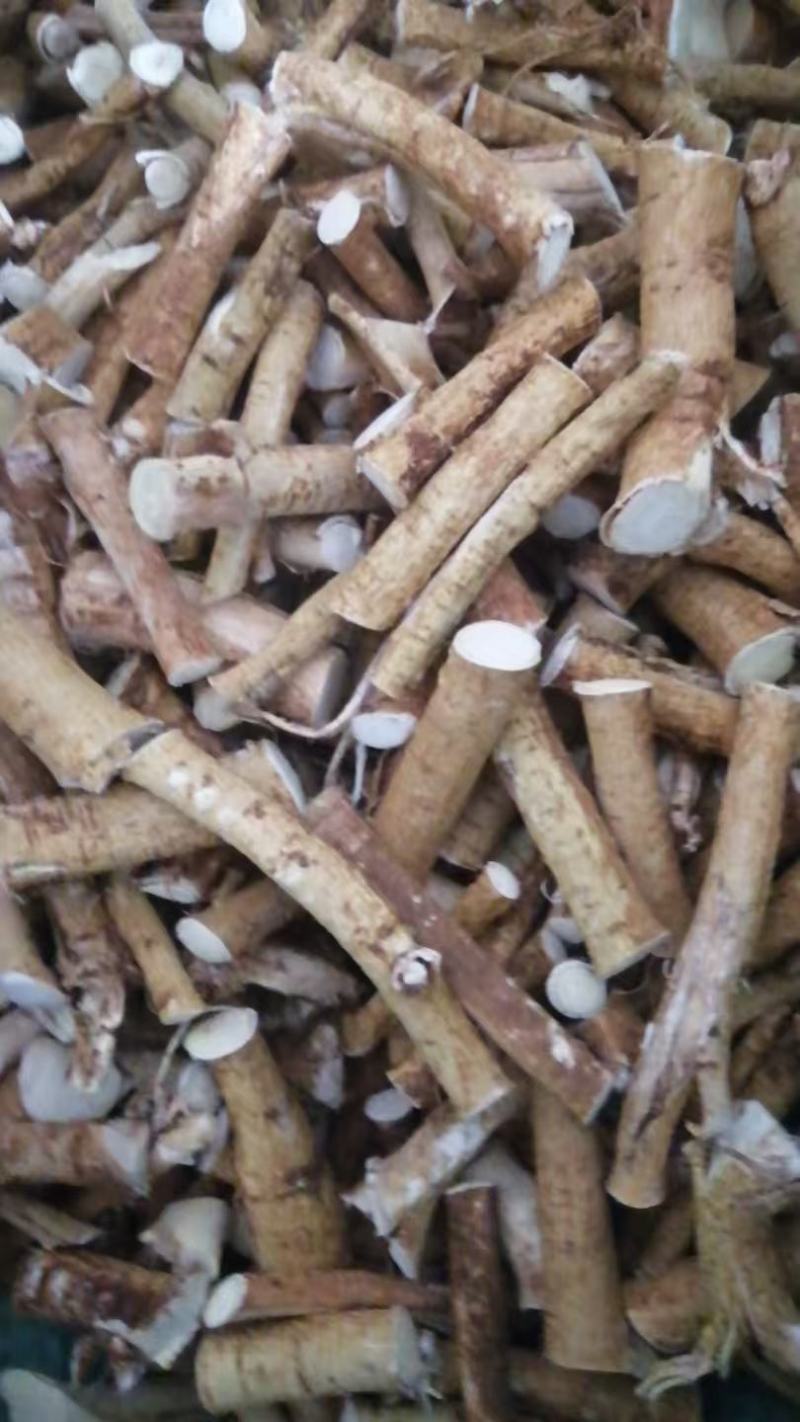 优质五指毛桃一手货源保障规格多样量大优惠