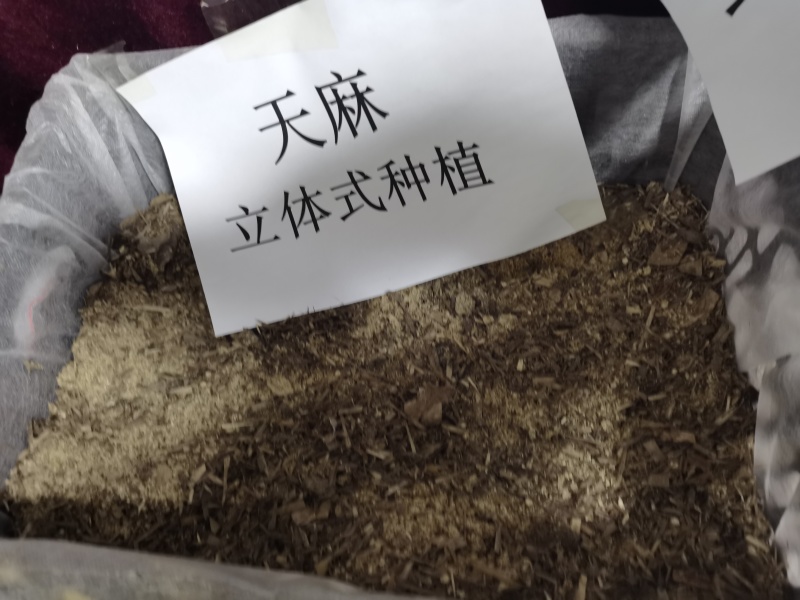 天麻种子立体种植技术推广产品