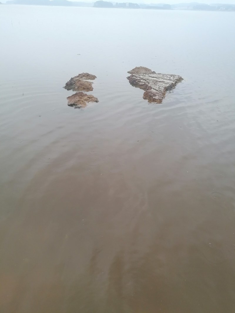 水库可以投肥，可以下鸡粪，在广西钦州。面积850亩