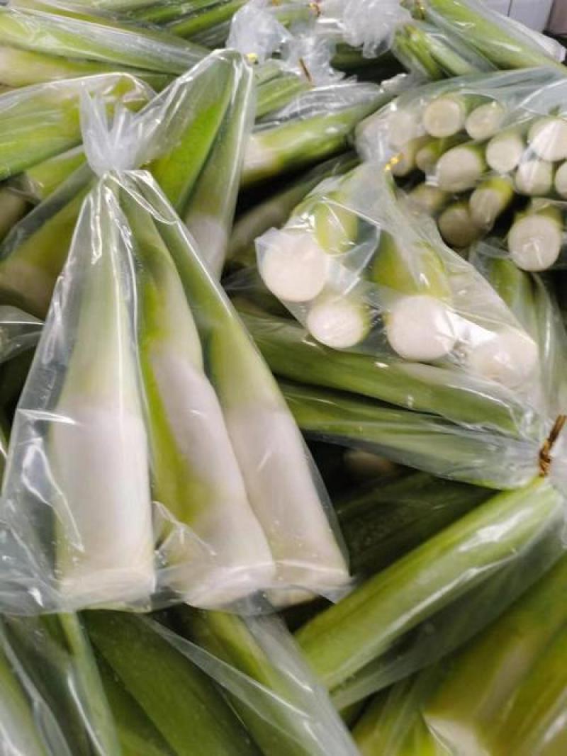 江南升金湖双季茭白绿色无污染量大从优欢迎电联