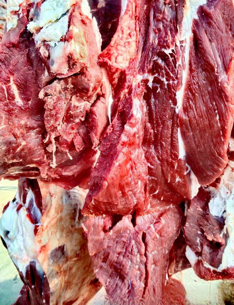伊犁鲜牛肉，厂家直销西安。48小时排酸纯干无水，货源充足