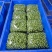 精品豆苗，基地直发，求真务实，保质保量。