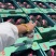 陕西蒲城小糖丸脆甜爽口、皮薄肉厚精品小糖丸4月的大量上市