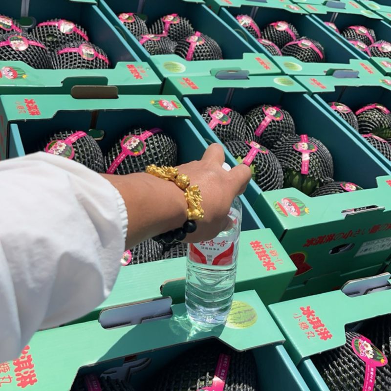 陕西蒲城小糖丸脆甜爽口、皮薄肉厚精品小糖丸4月的大量上市