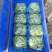 精品豆苗，基地直发，求真务实，保质保量。