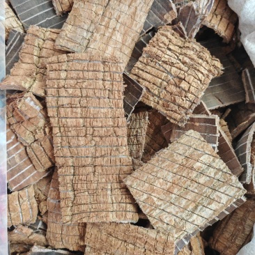 杜仲皮