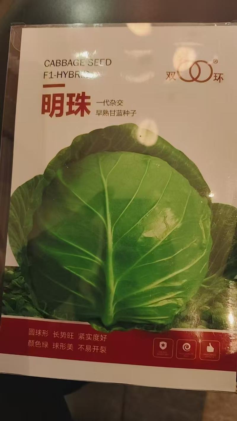 甘蓝种子甘蓝种子华耐亚瑟王精选266明珠甘蓝华耐