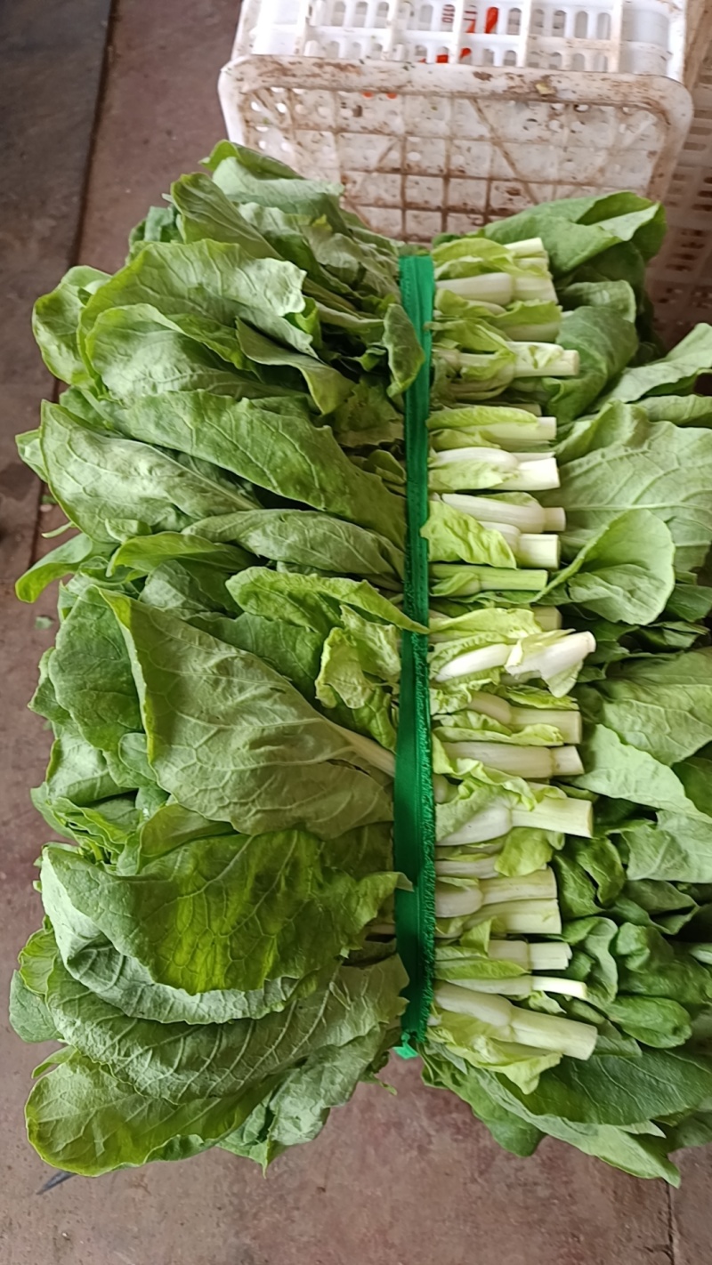 白菜苔！白菜心