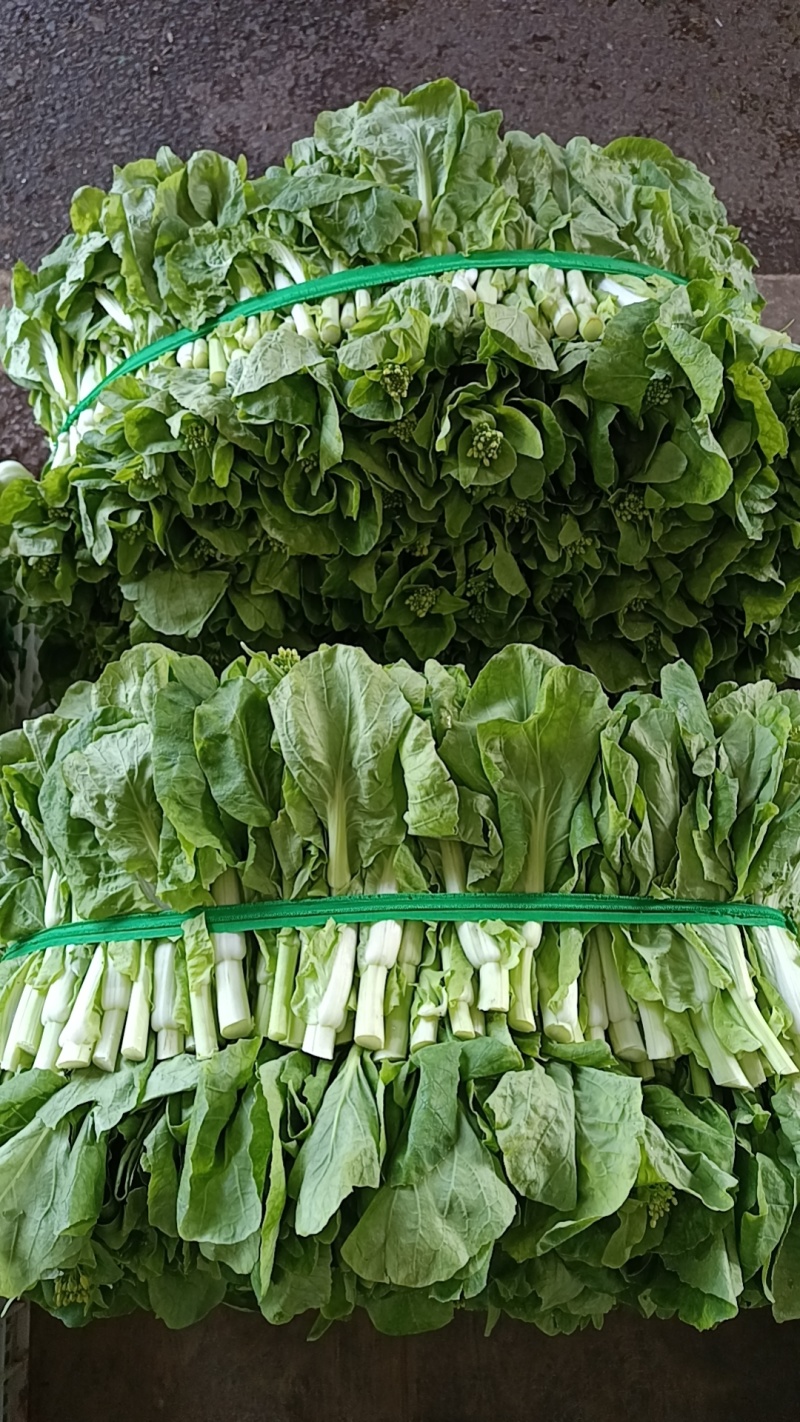 白菜苔！白菜心