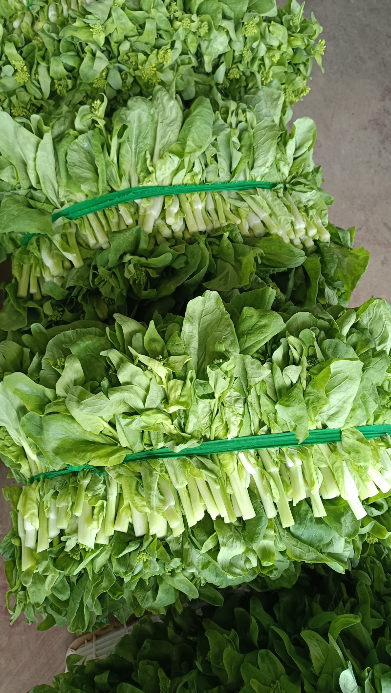 白菜苔！白菜心