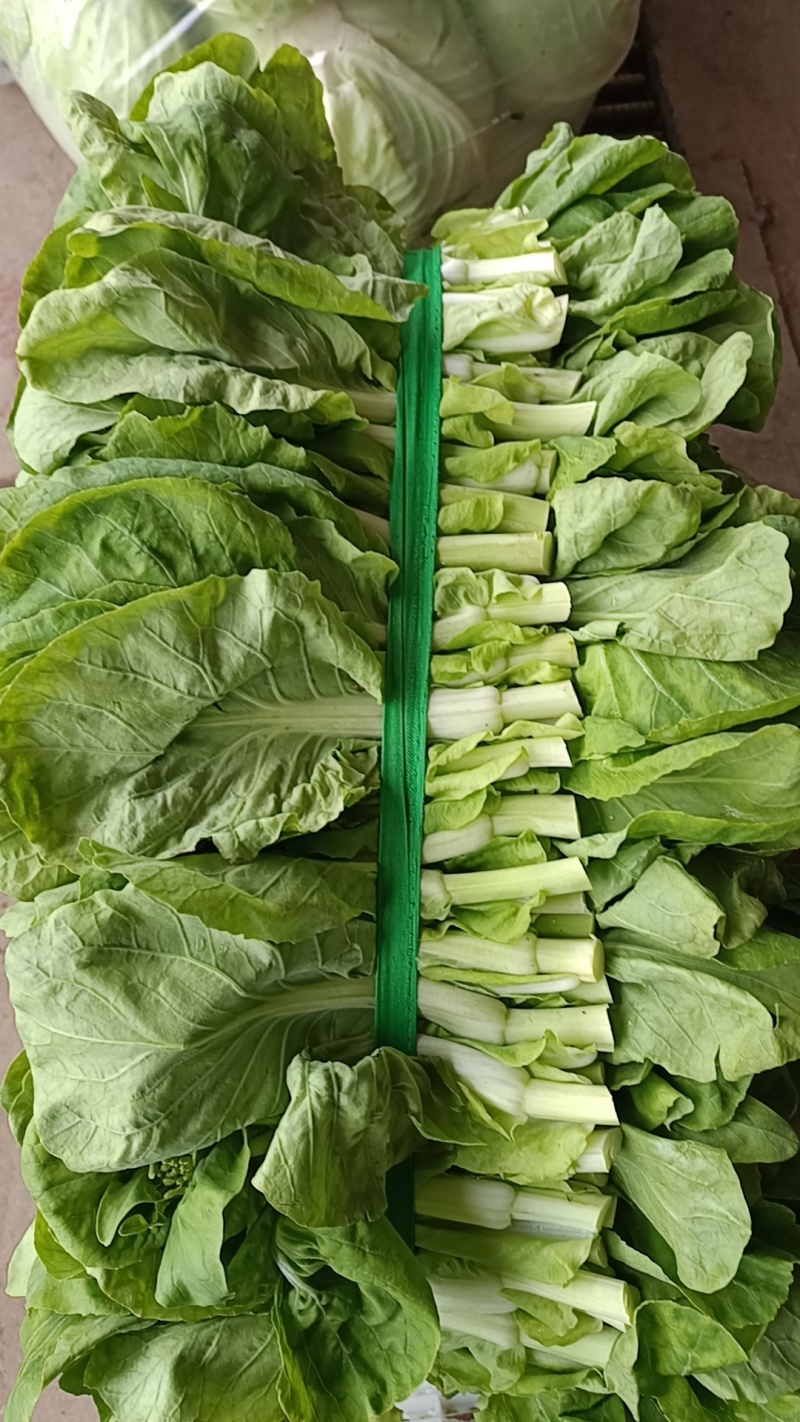 白菜苔！白菜心