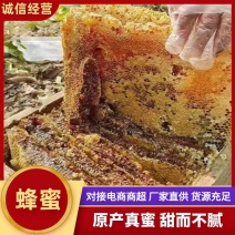 精品蜂蜜原产真蜜甜而不腻厂家直供货源充足