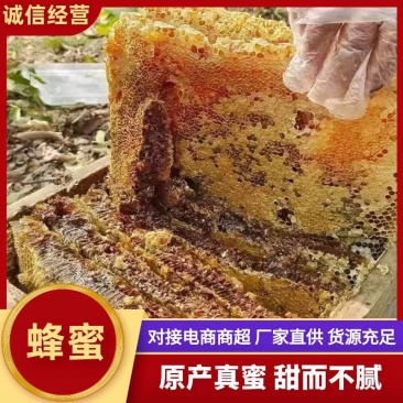 精品蜂蜜原产真蜜甜而不腻厂家直供货源充足