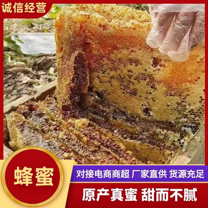 精品蜂蜜原产真蜜甜而不腻厂家直供货源充足