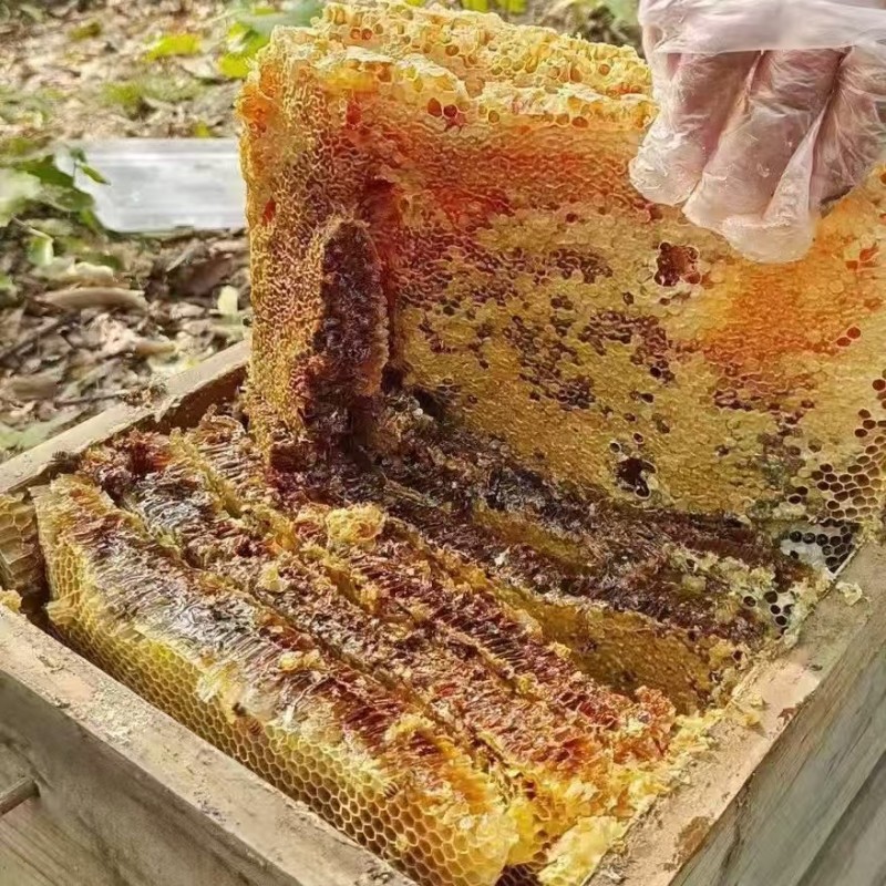 精品蜂蜜原产真蜜甜而不腻厂家直供货源充足