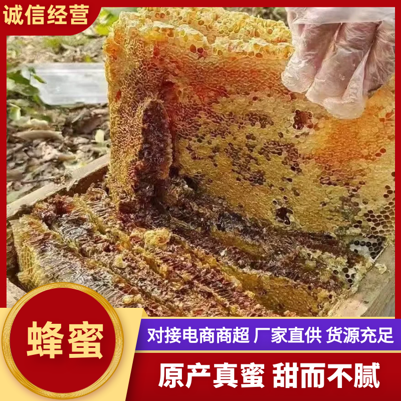 精品蜂蜜原产真蜜甜而不腻厂家直供货源充足