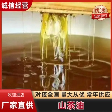 精品山茶油对接全国量大从优常年供应厂家直供