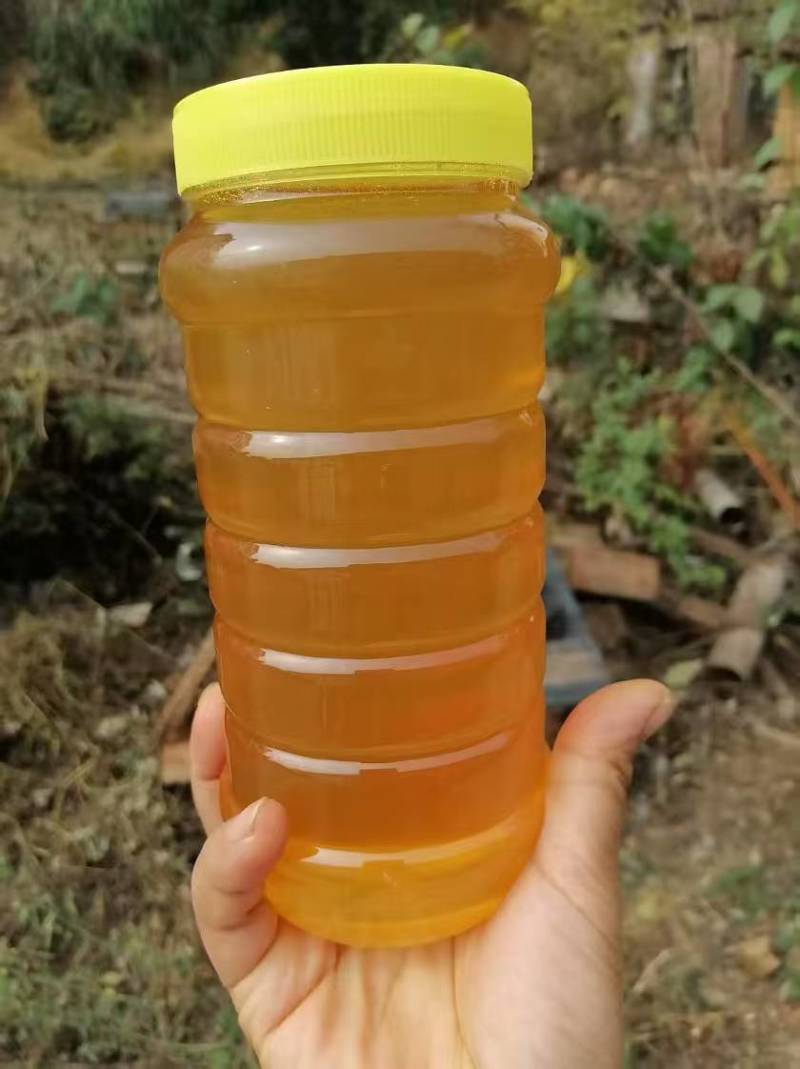 精品山茶油对接全国量大从优常年供应厂家直供