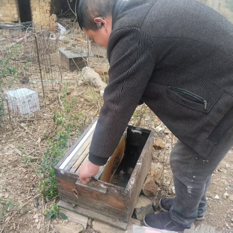 精品山茶油对接全国量大从优常年供应厂家直供