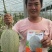 耀农抗裂25哈蜜瓜种子带绿道网纹布满全瓜桔红松脆甜抗病