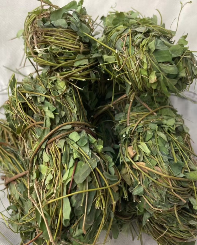 鸡骨草新鲜干净小扎把质量保证价格美丽