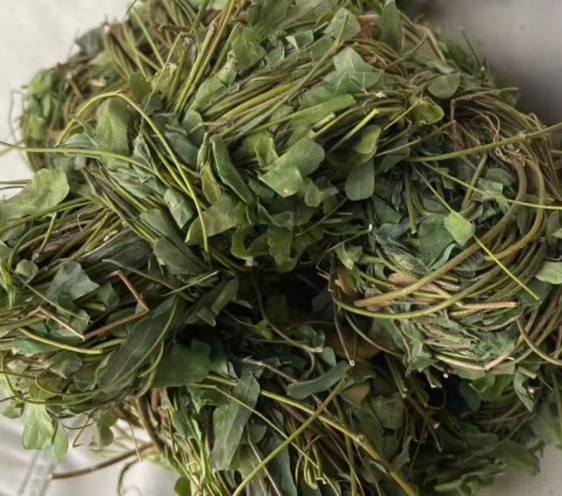 鸡骨草新鲜干净小扎把质量保证价格美丽