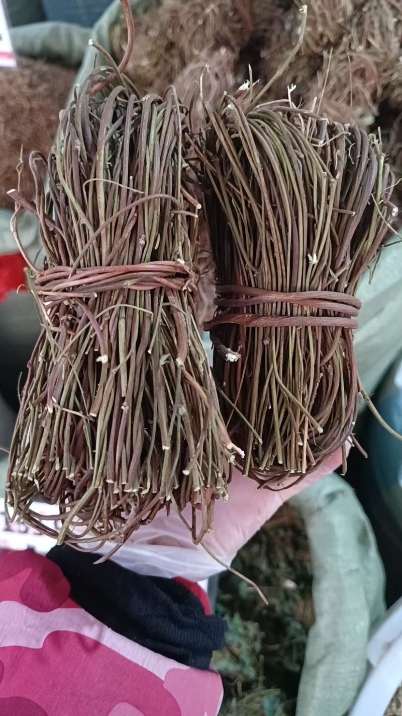 鸡骨草新鲜干净小扎把质量保证价格美丽