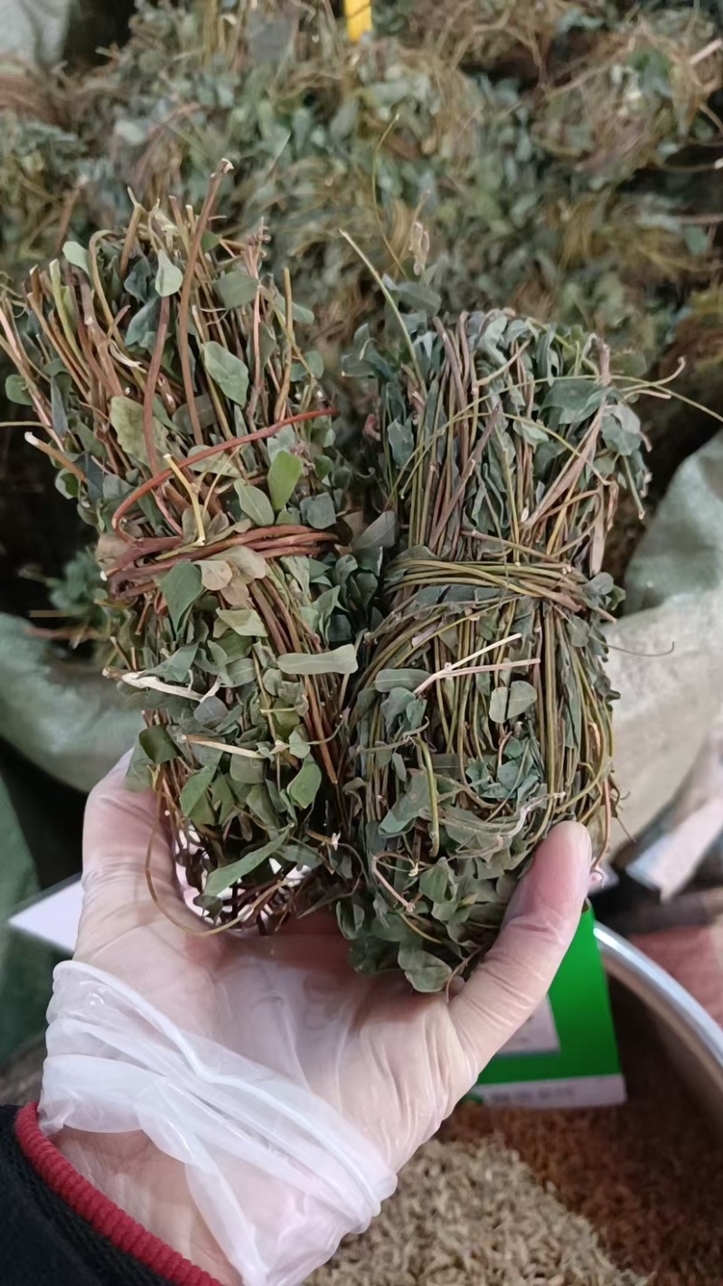 鸡骨草新鲜干净小扎把质量保证价格美丽