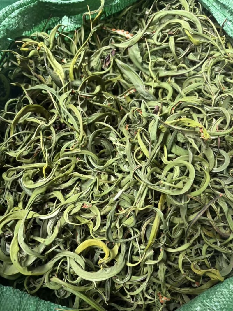大叶化石草化石草产地直供