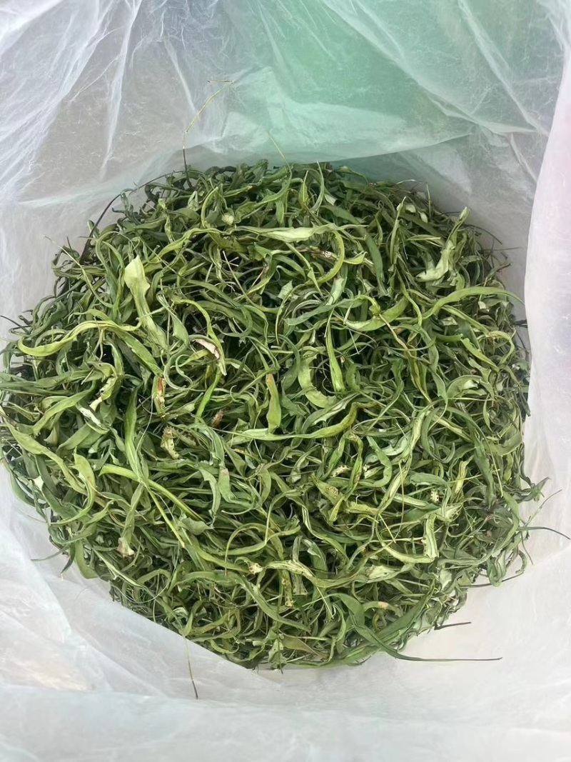 大叶化石草化石草产地直供