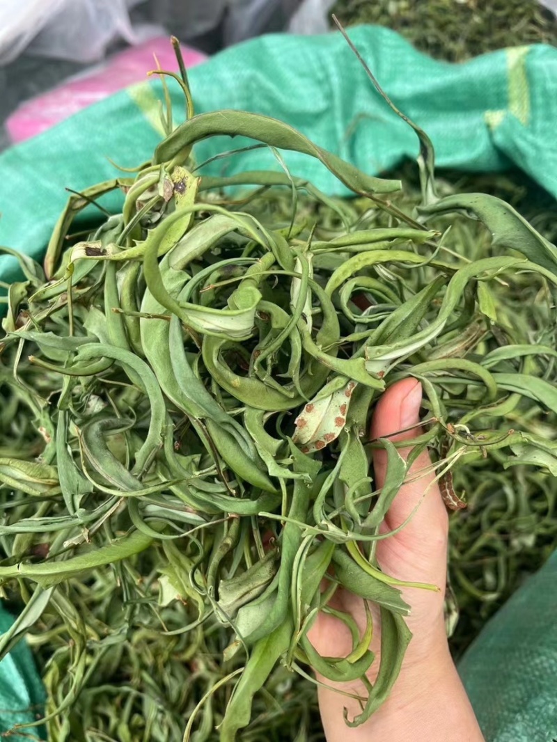 大叶化石草化石草产地直供