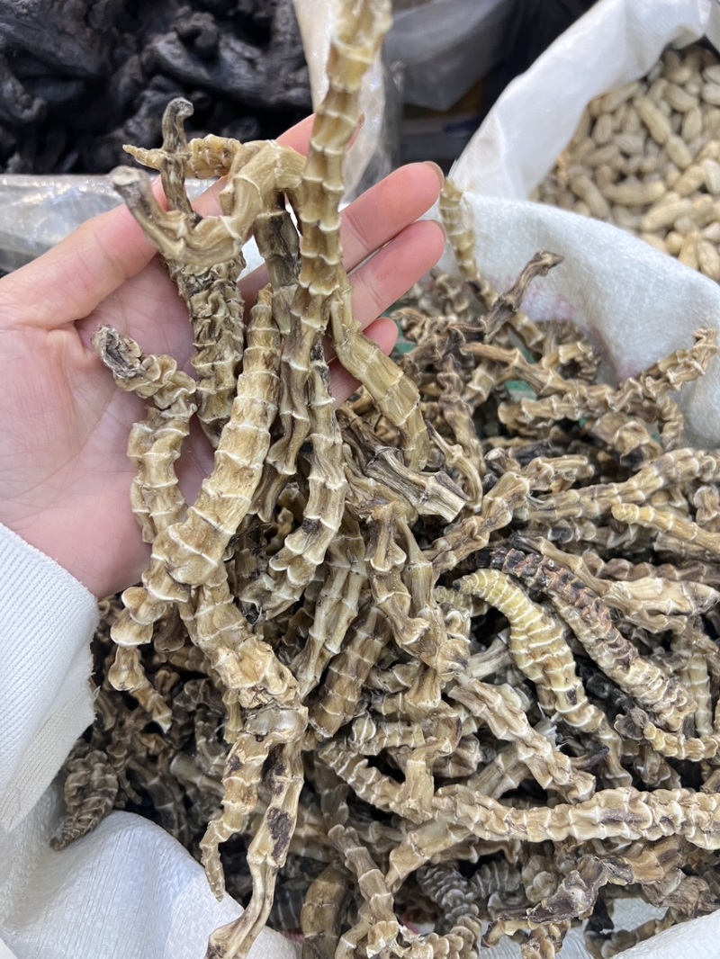 地参虫草参云南地参供应