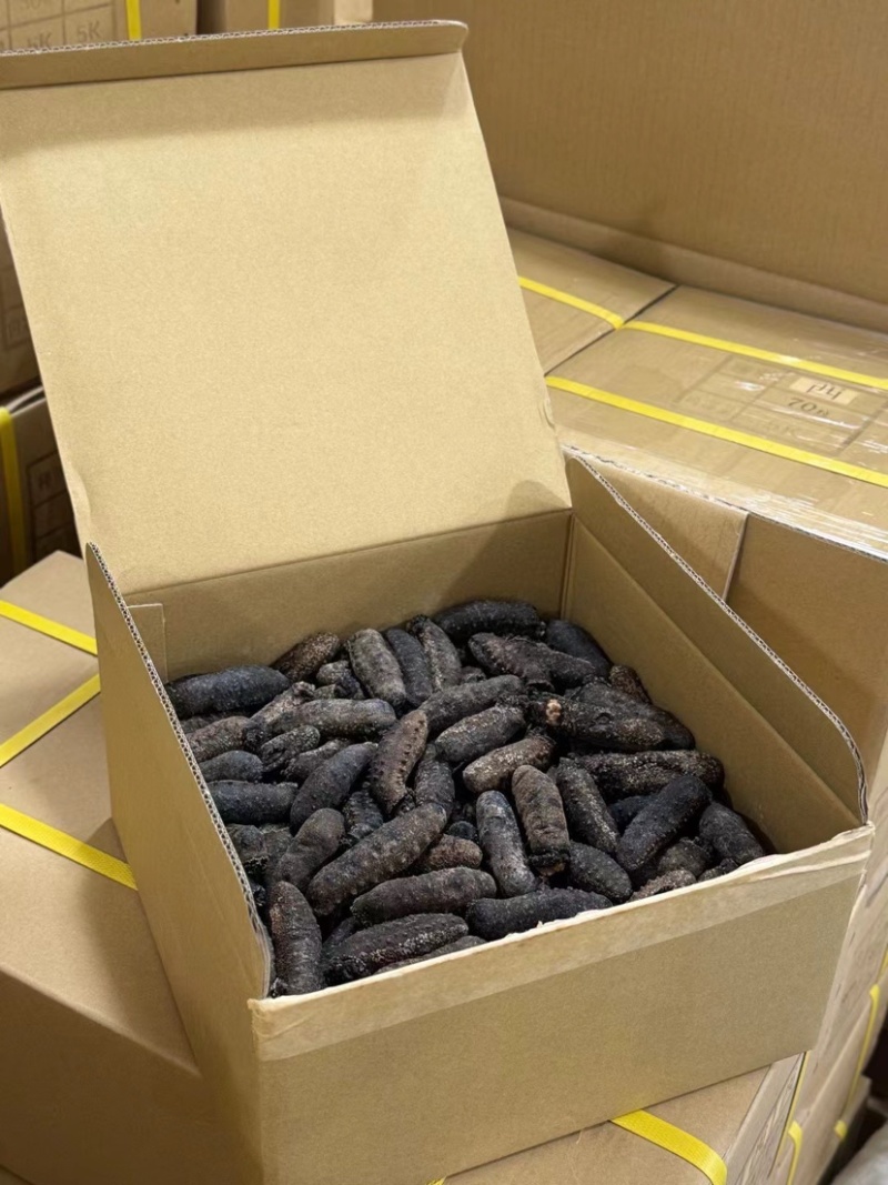 关西参北海道关东参纯淡干品质货泡发率13-15倍批发价