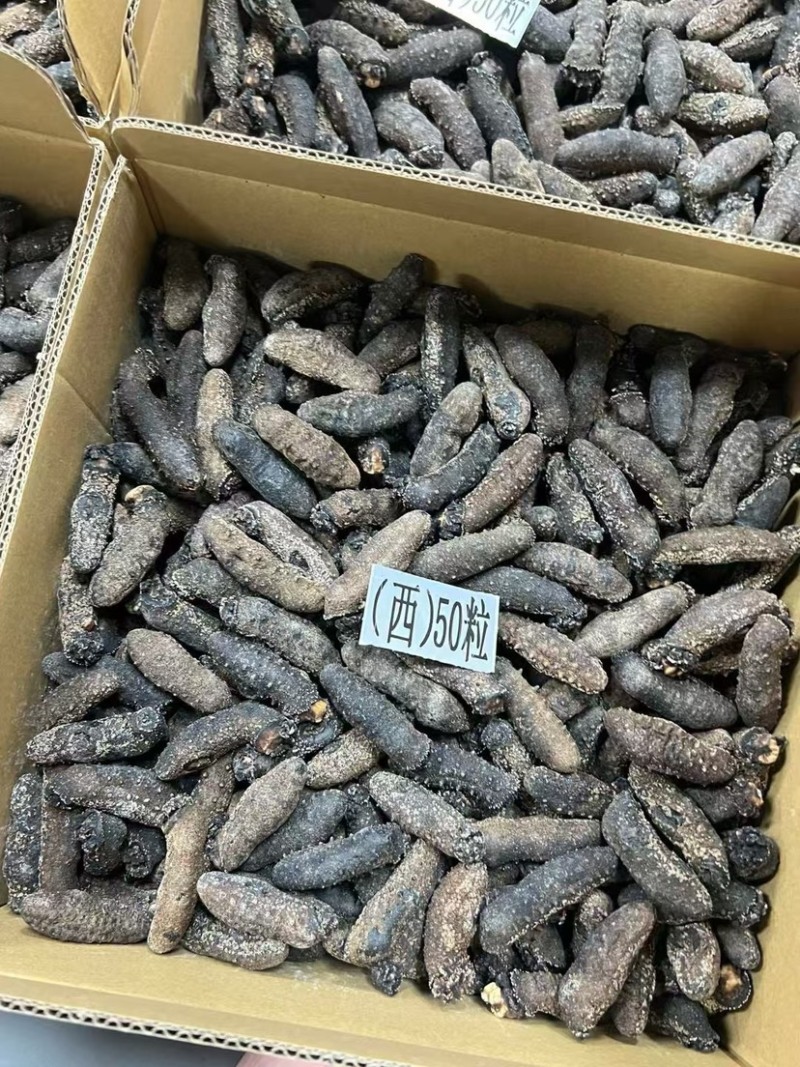 关西参北海道关东参纯淡干品质货泡发率13-15倍批发价