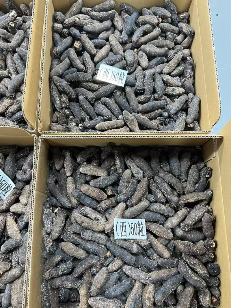 关西参北海道关东参纯淡干品质货泡发率13-15倍批发价