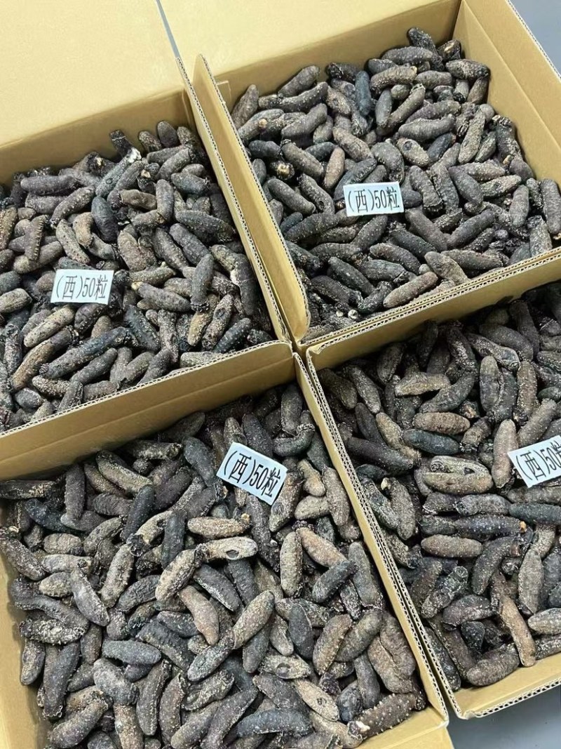 关西参北海道关东参纯淡干品质货泡发率13-15倍批发价