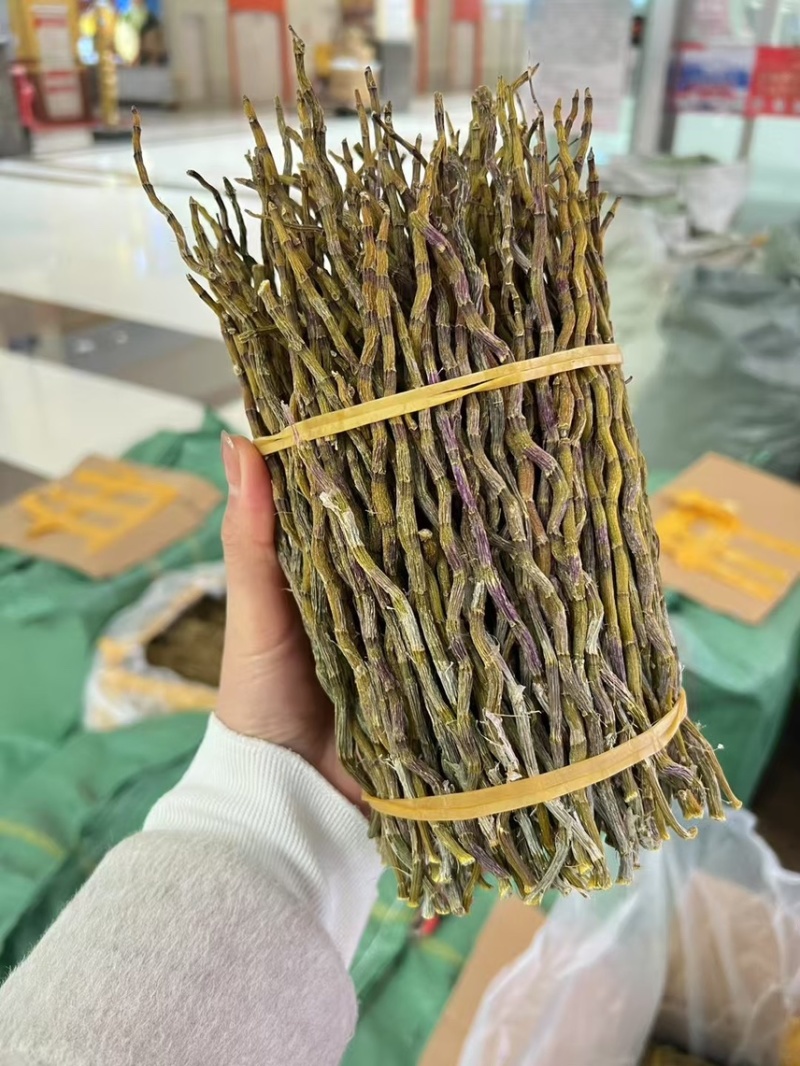 石斛梱条石斛大量供货中