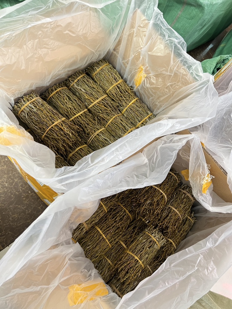 石斛梱条石斛大量供货中