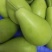 极早生瓠瓜种子口味好蒲瓜食用瓠子瓜菜葫芦种籽孑春秋季播种